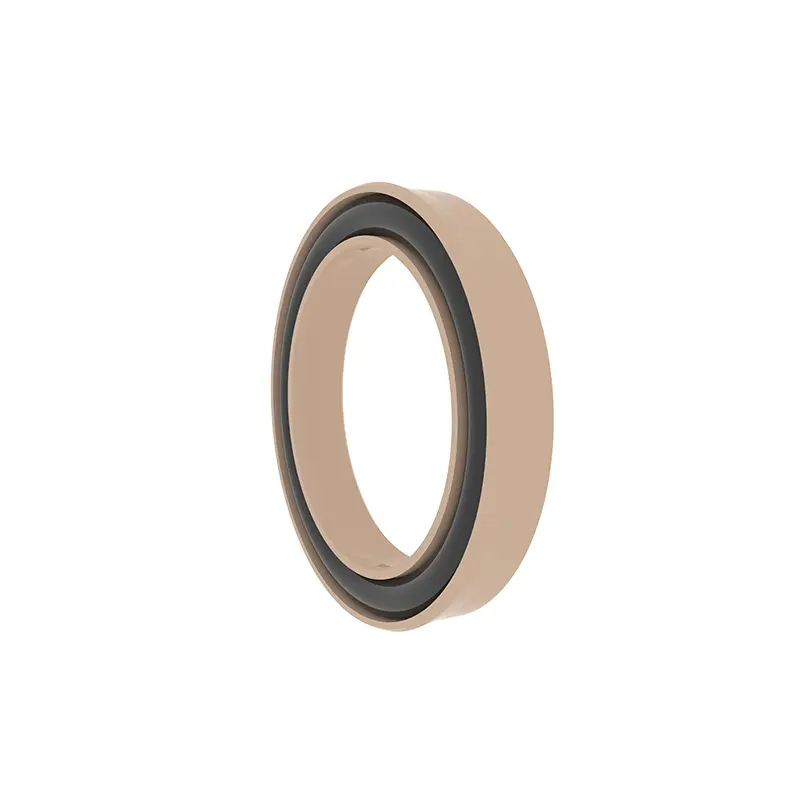 Radial Spring Energized Seals Radial Spring Energized Seals