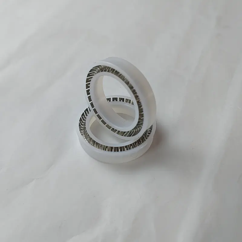 Radial Spring Energized Seals Radial Spring Energized Seals