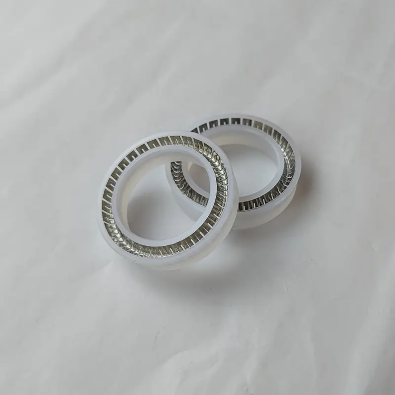 Radial Spring Energized Seals Radial Spring Energized Seals