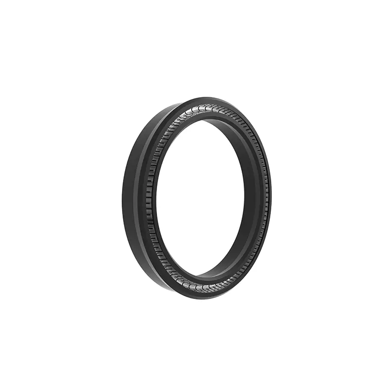 Radial Spring Energized Seals Radial Spring Energized Seals