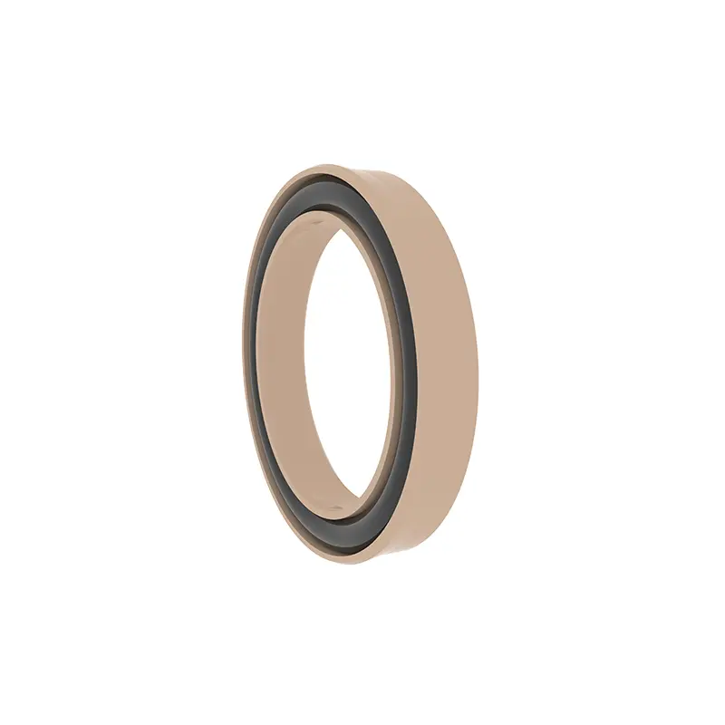 Radial Spring Energized Seals Radial Spring Energized Seals