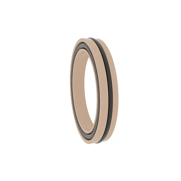 Rotary Spring Energized Seals