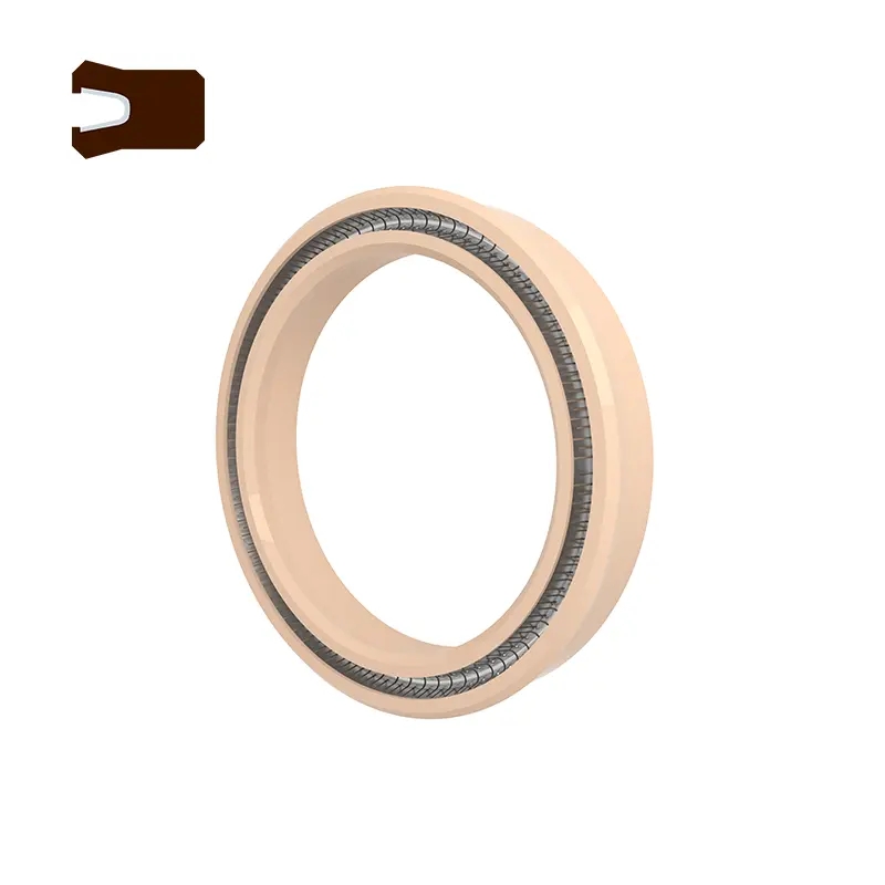 Radial Spring Energized Seals